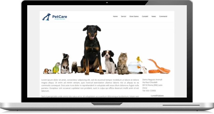 Sito Web Vetrina Esempio 22